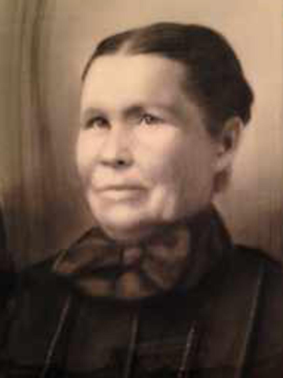 Ann Muir (1851 - 1911) Profile